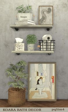 some shelves with pictures and plants on them