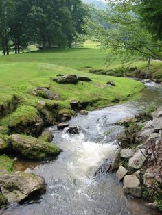 a stream running through a lush green park