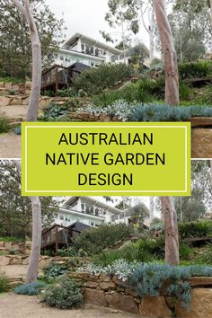 the australian native garden design is featured in three different pictures, including trees and rocks