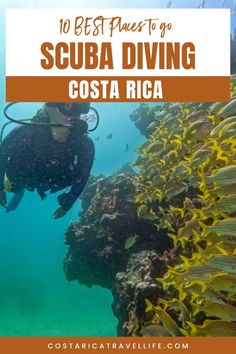 Embark on an underwater adventure in Costa Rica! Discover the top scuba diving destinations for an unforgettable experience. #CostaRica #ScubaDiving #TravelAdventure