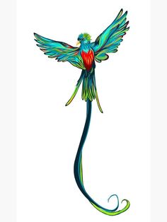 a colorful bird flying through the air with its wings spread out and it's tail extended