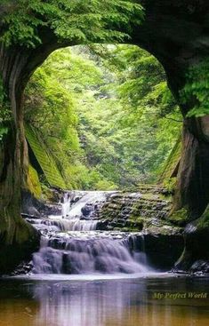 a river flowing under a bridge surrounded by lush green trees and rocks, with a small waterfall coming out of the tunnel