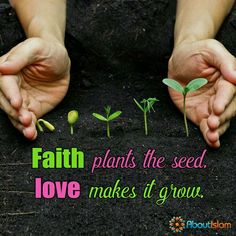 two hands holding plants with the words faith, plants the seed, love makes it grow