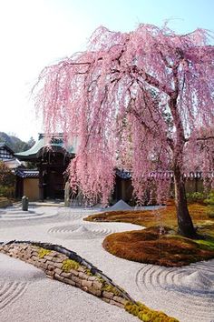 a pink tree is in the middle of a garden with rocks and stones around it