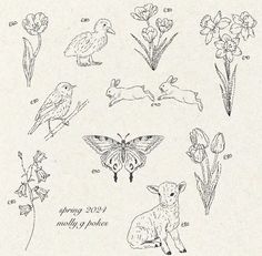 some animals and flowers are drawn in black ink