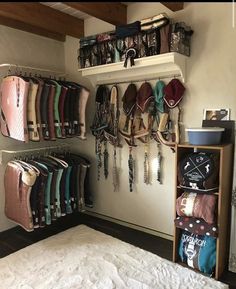 there is a room that has many items on the wall and in the closet,