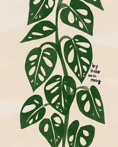 a drawing of a plant with green leaves and the words by hello miss may written on it