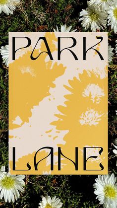 a yellow and white sign that says park lane surrounded by daisies in the grass