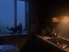 a cat sitting on top of a window sill next to a stove top oven