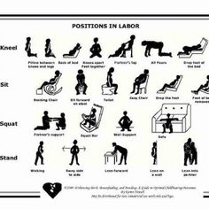 an image of positions in labor