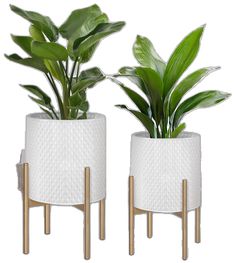 two white and gold planters with plants in them