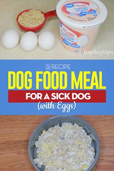 an image of dog food meal for a sick dog with eggs