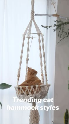 an orange cat is sitting in a hammock hanging from a window sill