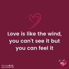 a quote that says love is like the wind, you can't see it but you