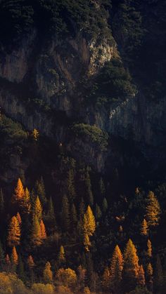 the trees are changing colors in the mountains