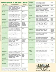 a table with the words companion planting chart