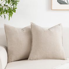 two pillows sitting on top of a white couch next to a potted green plant