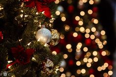 the christmas tree is decorated with red and white ornaments