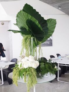 a large green plant sitting on top of a glass table in an office space with people walking around