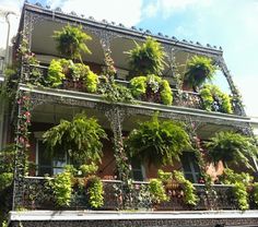 an old building with lots of plants growing on the balconies