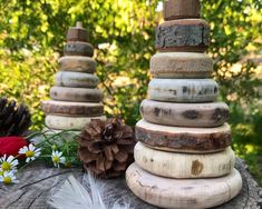 a stack of logs sitting on top of a tree stump next to a pine cone