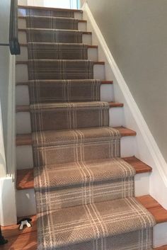 there is a dog that is walking down the stairs in this house and it looks like he's going to fall asleep