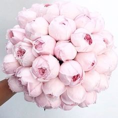 a person holding a bouquet of pink flowers