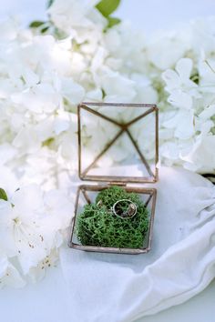 two wedding rings in a ring box surrounded by white hydranges on a table