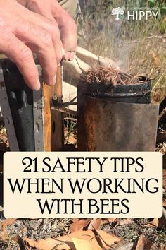 a man is working with bees in the woods