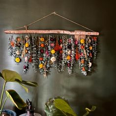 an arrangement of flowers hanging from a wooden frame on a wall next to potted plants