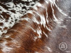 an animal's fur is shown with brown and white spots on the back of it