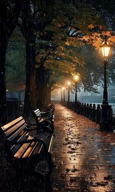 an empty park bench in the rain at night with street lights and lampposts