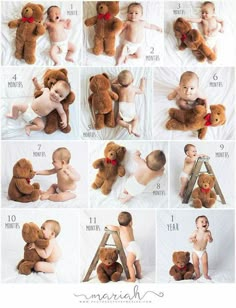 an image of babys and teddy bears posed in different positions with numbers on them