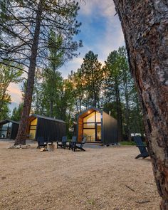 two tiny cabins in the woods with picnic tables and chairs around them, surrounded by tall pine trees