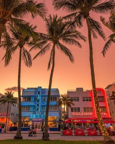 palm trees line the street in front of colorful buildings at dusk with people walking by