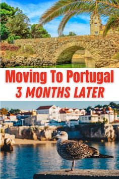 Moving To Portugal 3 Months Later Portugal Expat, Move Abroad, Living In Europe, Expat Life, What Next, Great Food, Living Abroad, The Taste