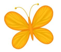 an orange butterfly with yellow wings on a white background