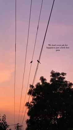 birds sitting on power lines at sunset with the quote we don't even ask for happiness