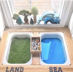 two trays filled with different types of plants and rocks in front of a window