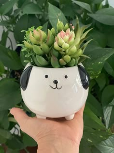 a hand holding a white ceramic dog planter with succulents in it