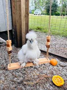 a white chicken sitting on a wooden swing next to an orange and some wire fence