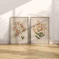 two framed floral prints on a wall in an empty room with wood flooring and white walls