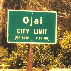 a green street sign sitting on the side of a road in front of some trees