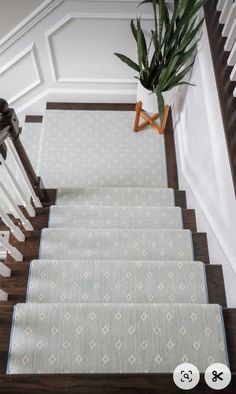 the stairs in this house are decorated with white and blue rugs, along with a potted plant