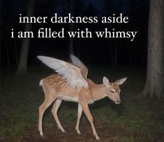 a deer with wings on it's back walking in the woods at night, with an inspirational quote written below