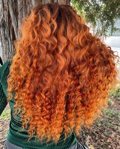 We offer this beautiful Burnt Orange color in Staight, Wavy, and Curly in our Seamless Clip-In Sets. What are you waiting for? Get Brave and go Merida on 😍 Hair Color Curly, Color Curly Hair, Fall Hair Inspo, Orange Hair Color, Best Human Hair Extensions, Hair Color Orange