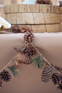 some pine cones are hanging on a table