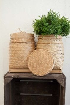 two woven baskets sitting on top of a wooden shelf next to a potted plant