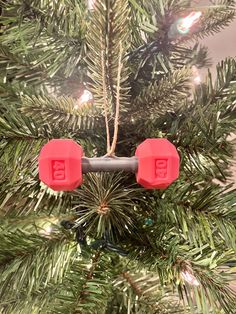 two red dumbbells hanging from a christmas tree