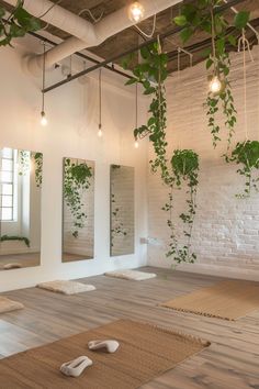 a yoga room with mirrors and plants hanging from the ceiling